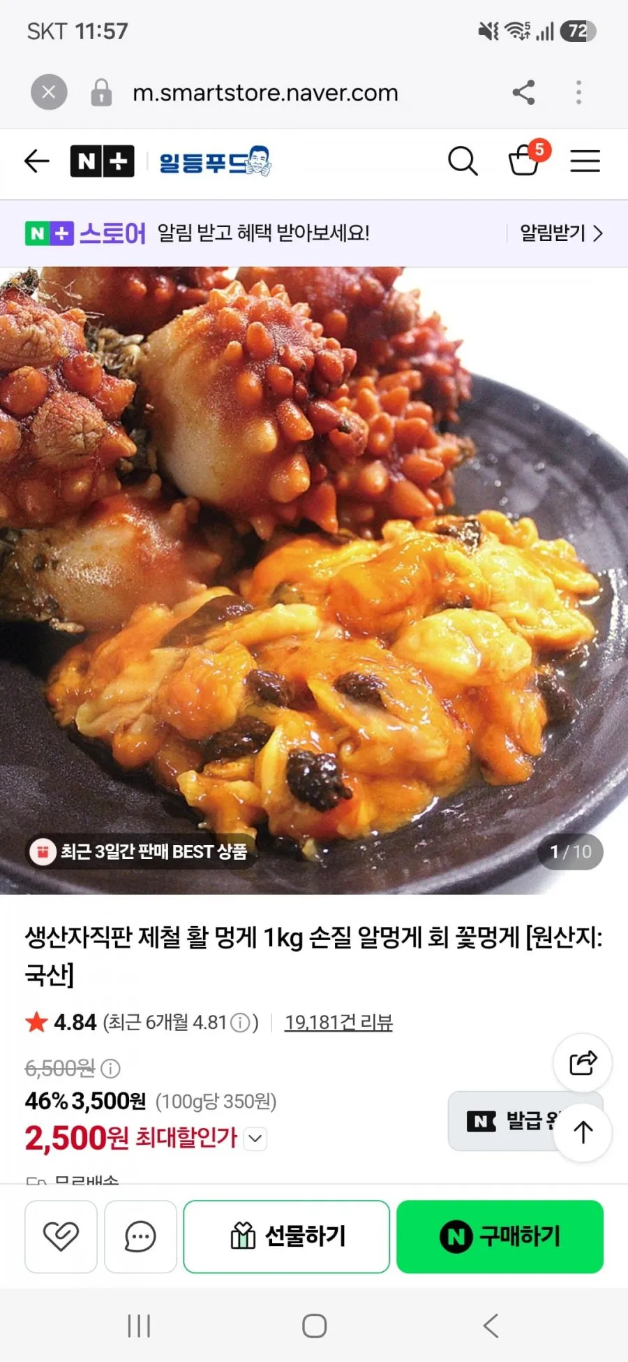 생산자직판 제철 활 멍게 1kg