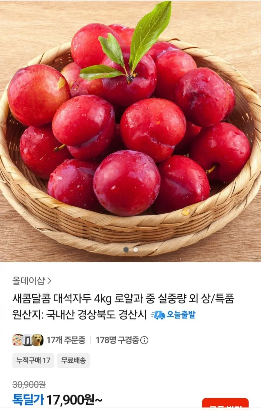 국내산 대석자두 4kg 로얄과