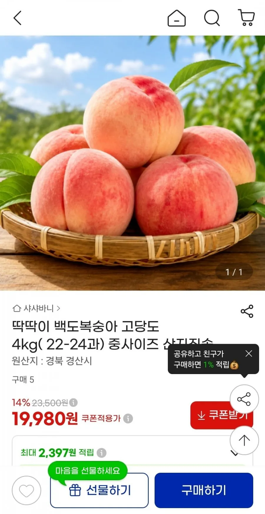 딱딱이 백도복숭아 4kg 중 (22-24과)