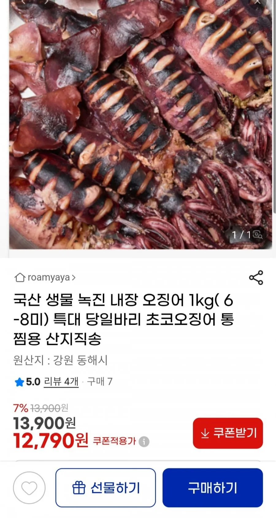 국산 생물 녹진 내장 오징어 1kg( 6-8미) 당일바리 초코오징어 통찜용