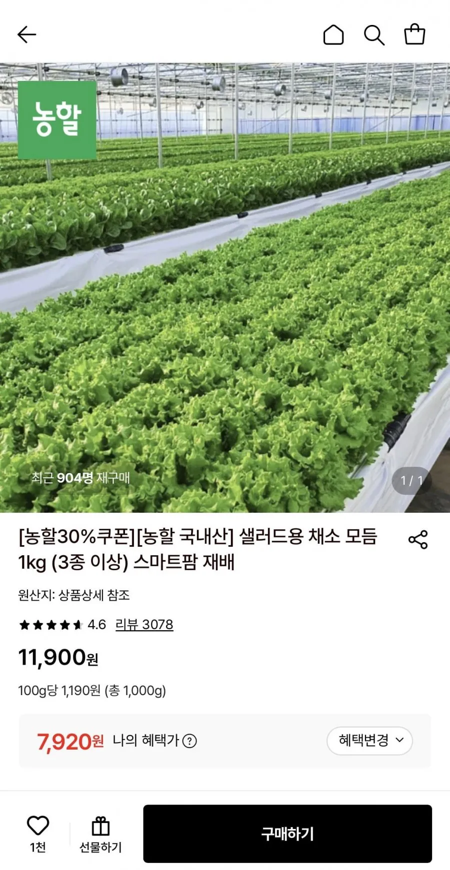 샐러드용 채소 모듬 1kg