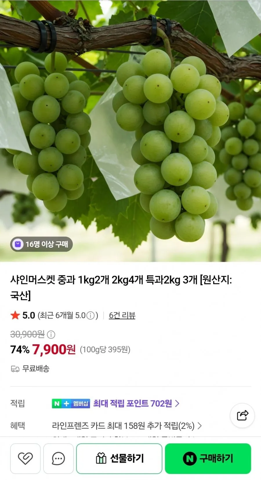 샤인머스켓 중과 1kg 2개