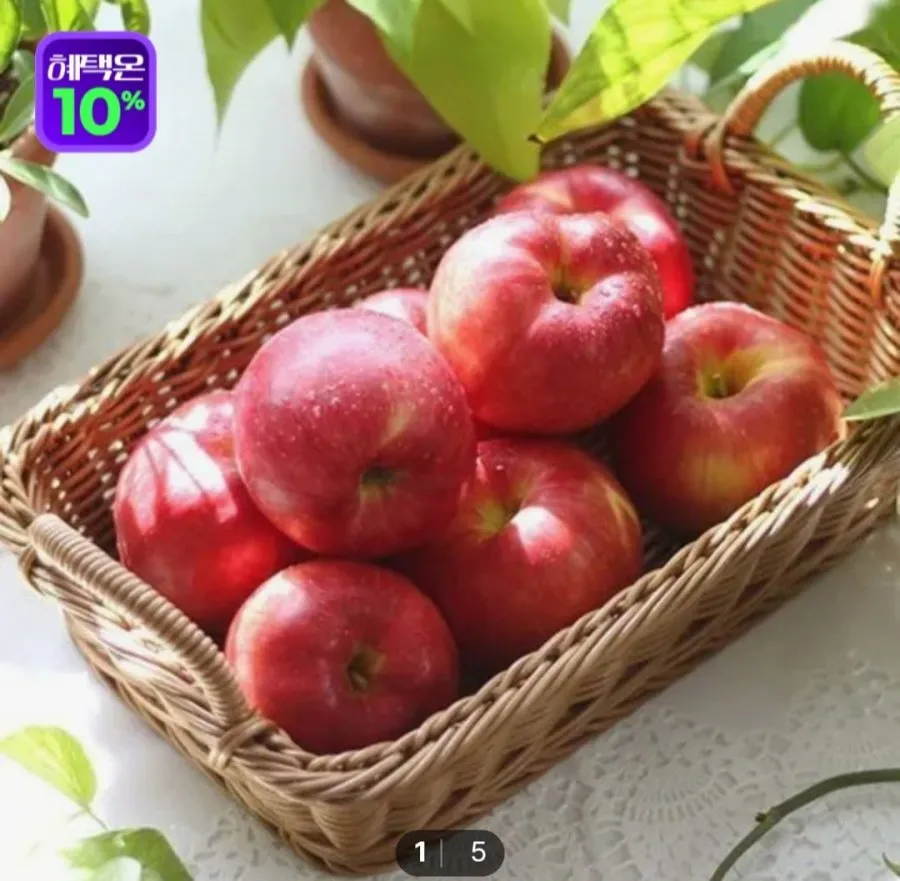 햇사과 5kg 중대과 (10-24과)