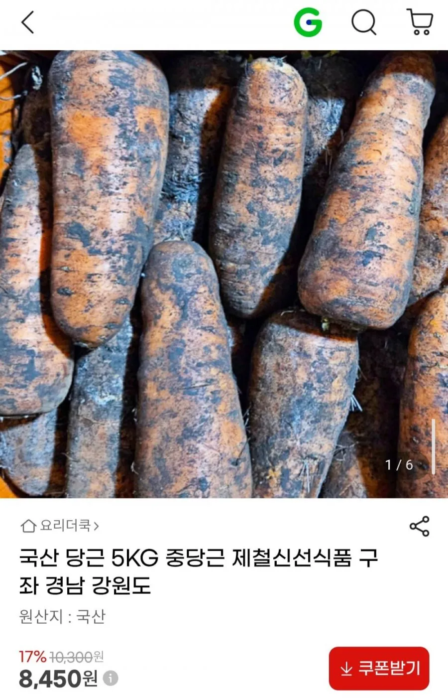 국산 당근 5KG 중당근