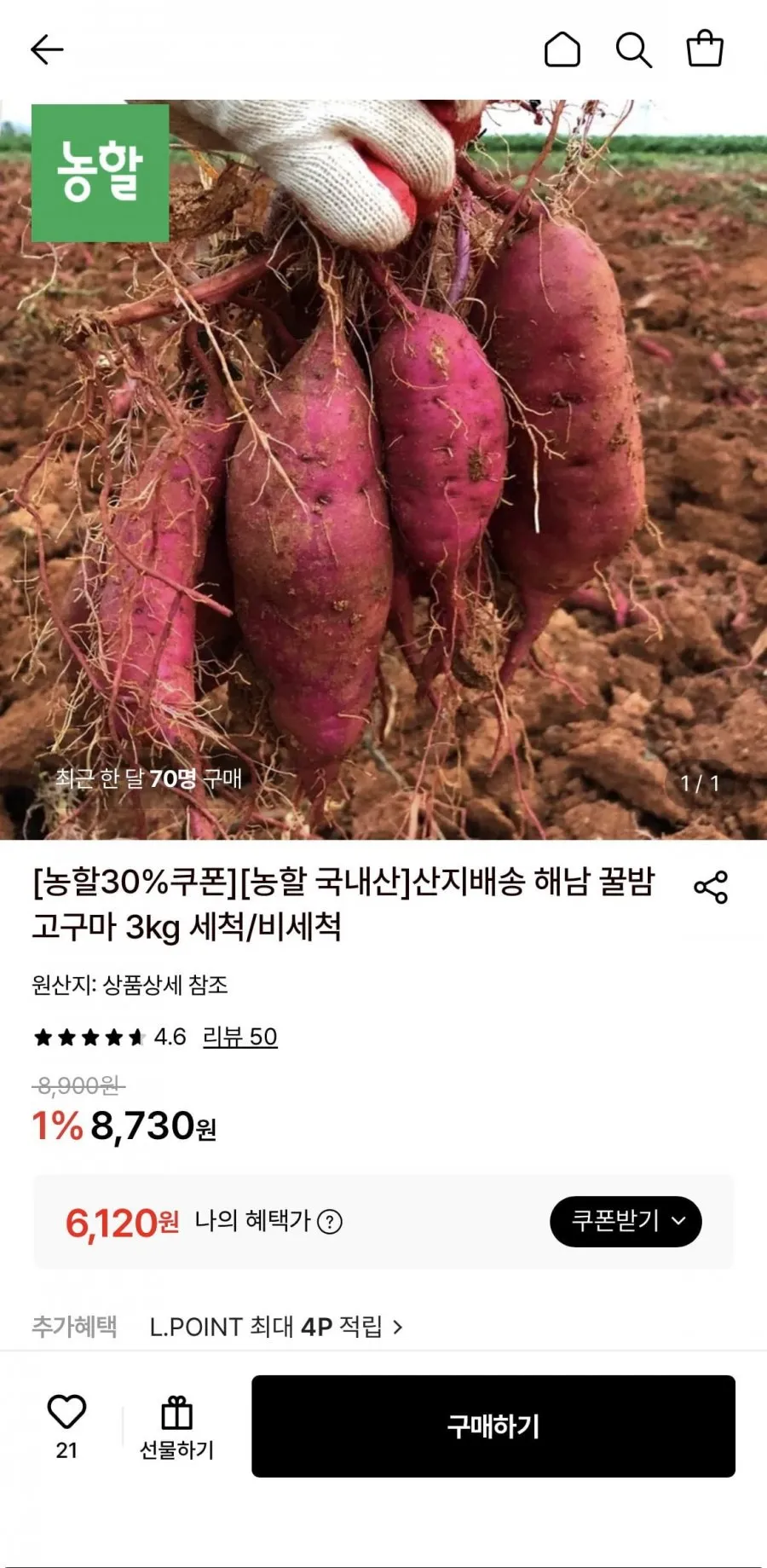 해남 꿀밤고구마 3kg 세척/비세척