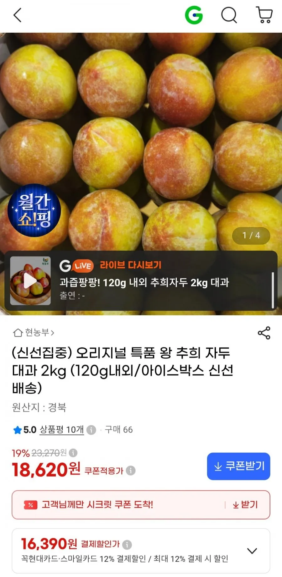 특품 왕 추희 자두 대과 2kg