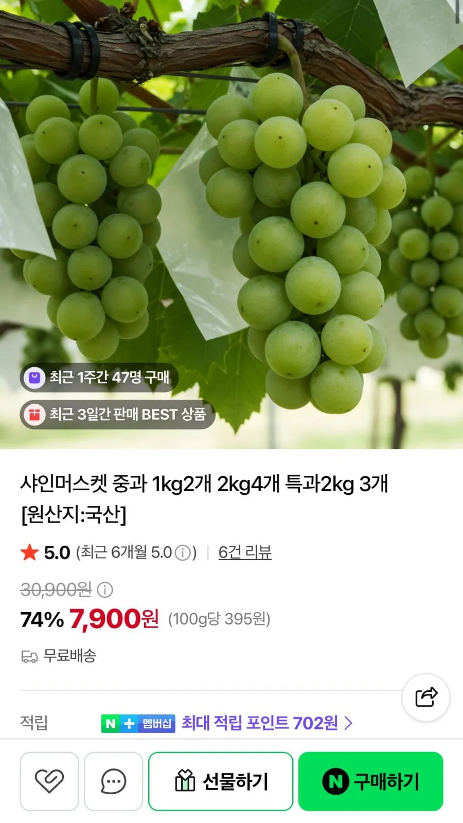 샤인머스켓 중과 1kg 2수