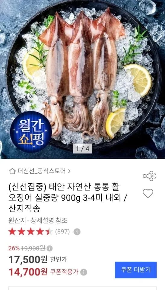 태안 자연산 활 오징어 실중량 900g 3-4미 내외