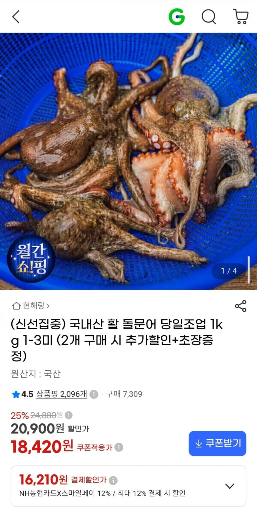 국내산 활 돌문어 당일조업 1kg 1-3미