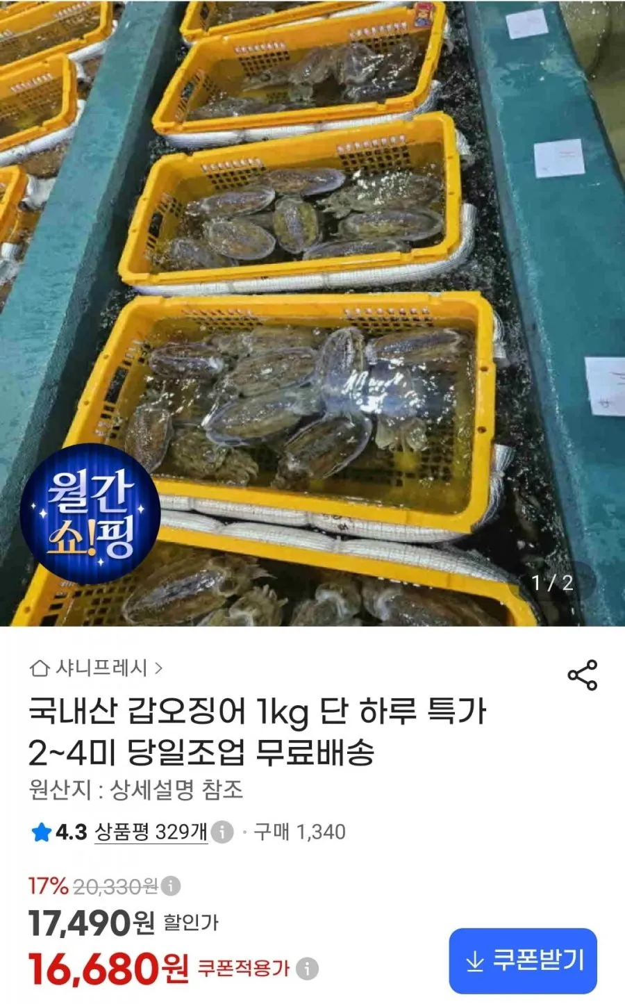 국내산 갑오징어 1kg 2~4미