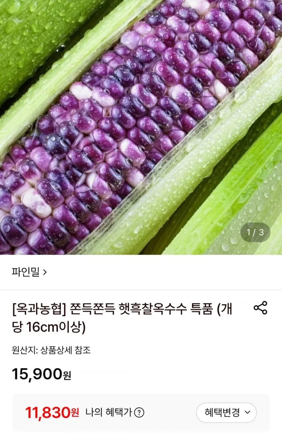 햇흑찰옥수수 특품 10송이