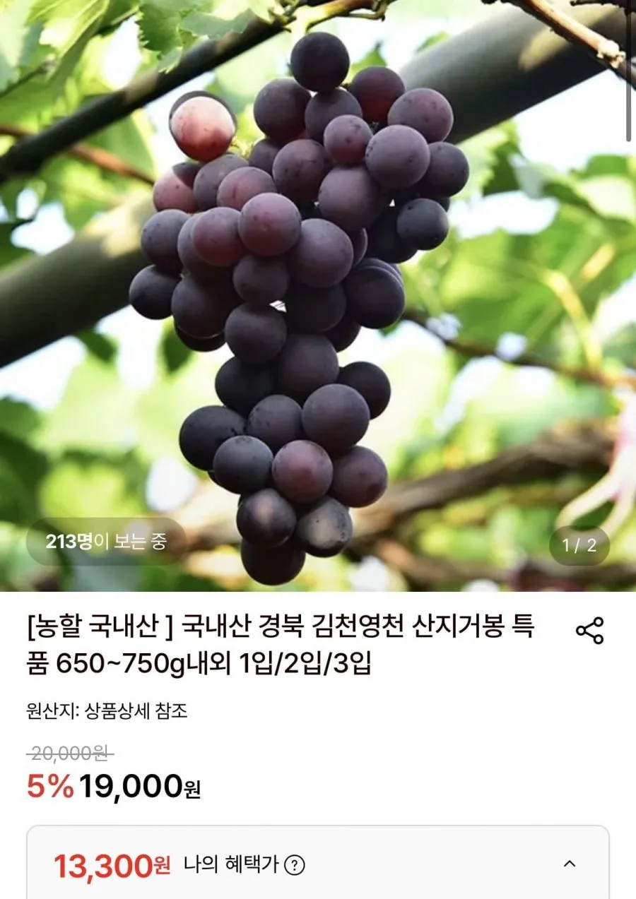 경북 특품 거봉 1수(650~750g) x 3입