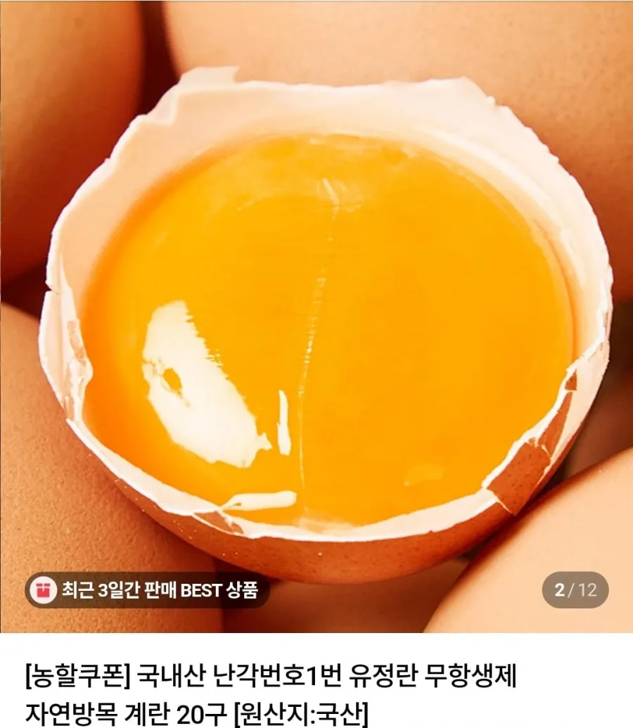 난각번호 1번 유정란 20구