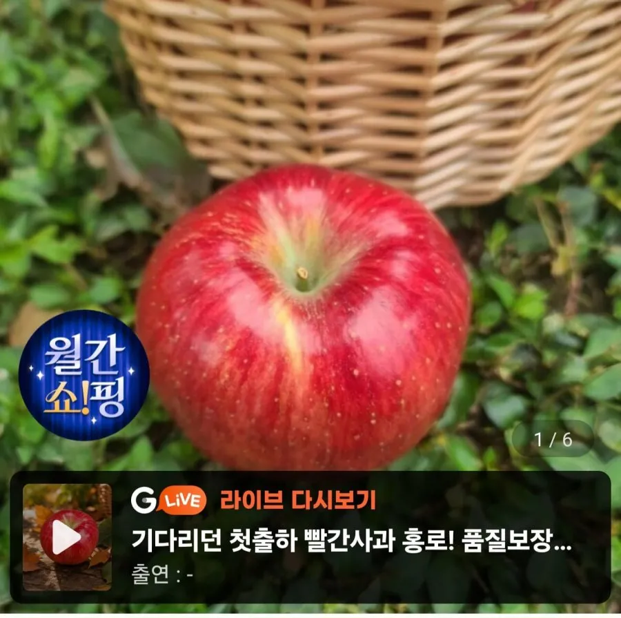 홍로 4kg 중대과