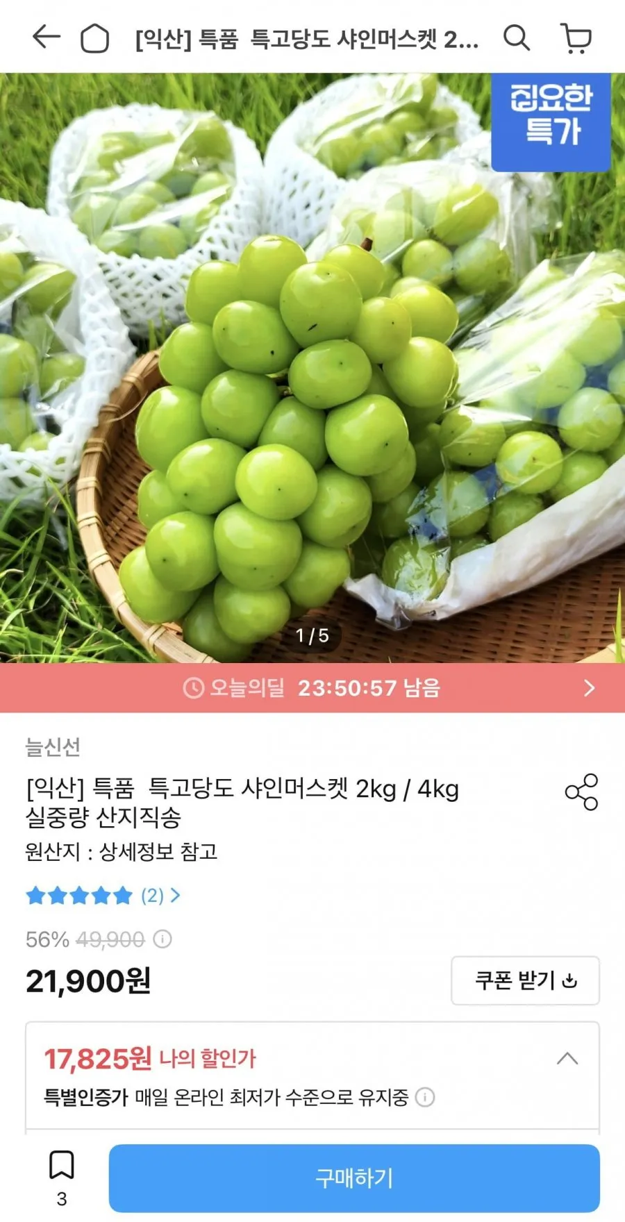 농협 특품 샤인머스캣 2kg 3~4수