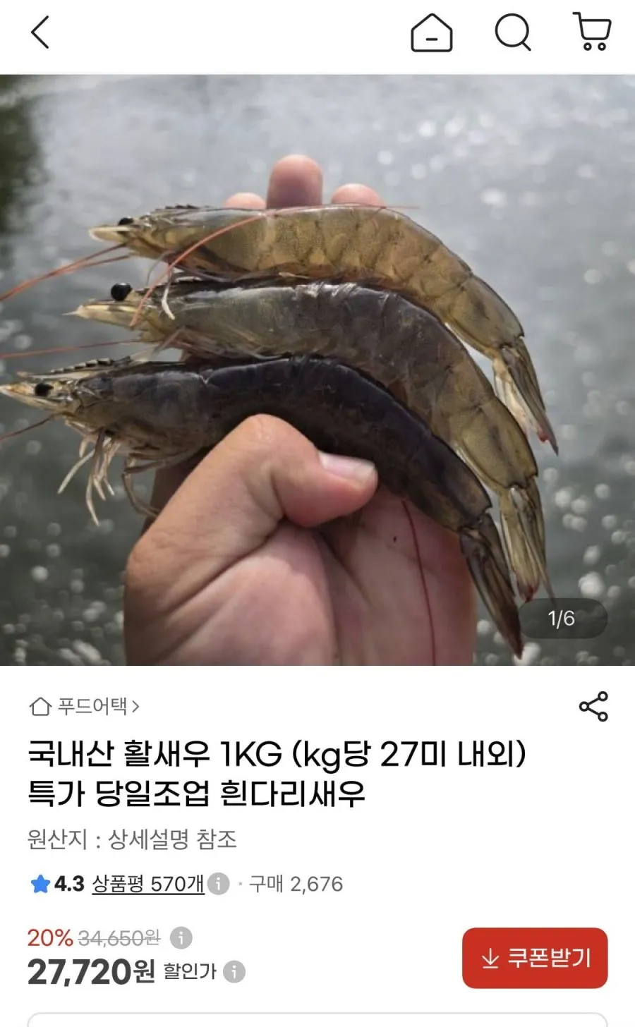 국내산 활새우 1KG (kg당 27미 내외)