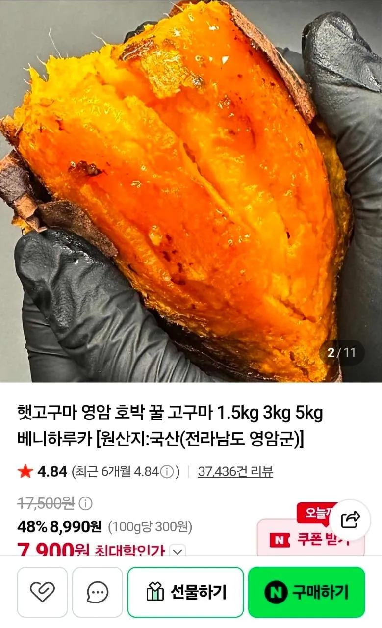 영암 햇고구마 1.5kg 특상
