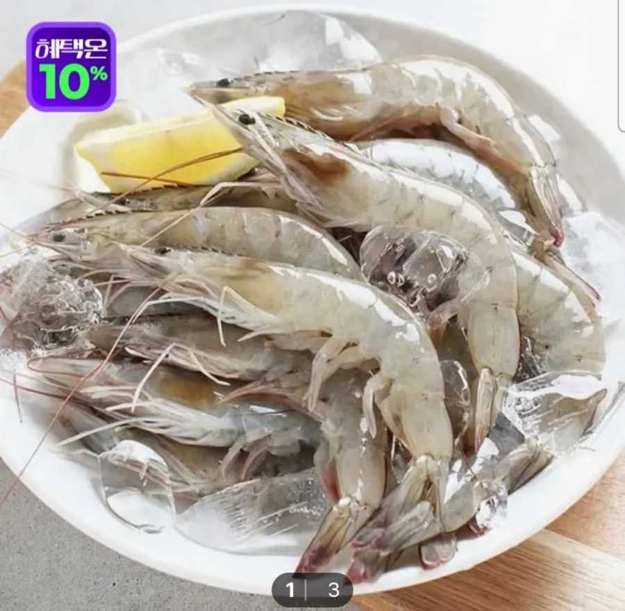 당일조업 생물 활새우 1kg