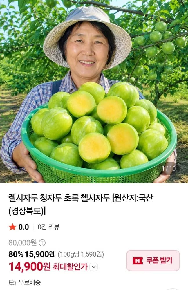 켈시자두 청자두 초록 첼시자두