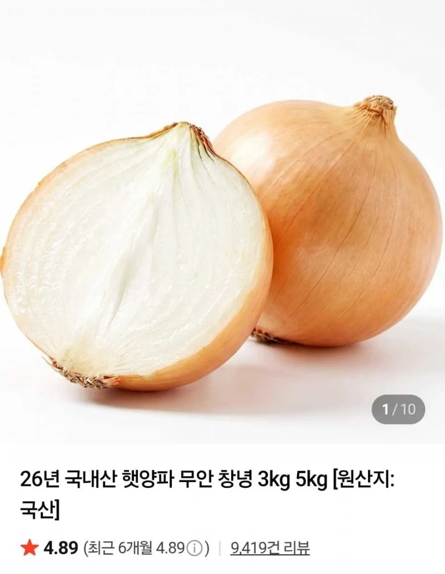 국내산 햇 양파 중사이즈 1.5kg