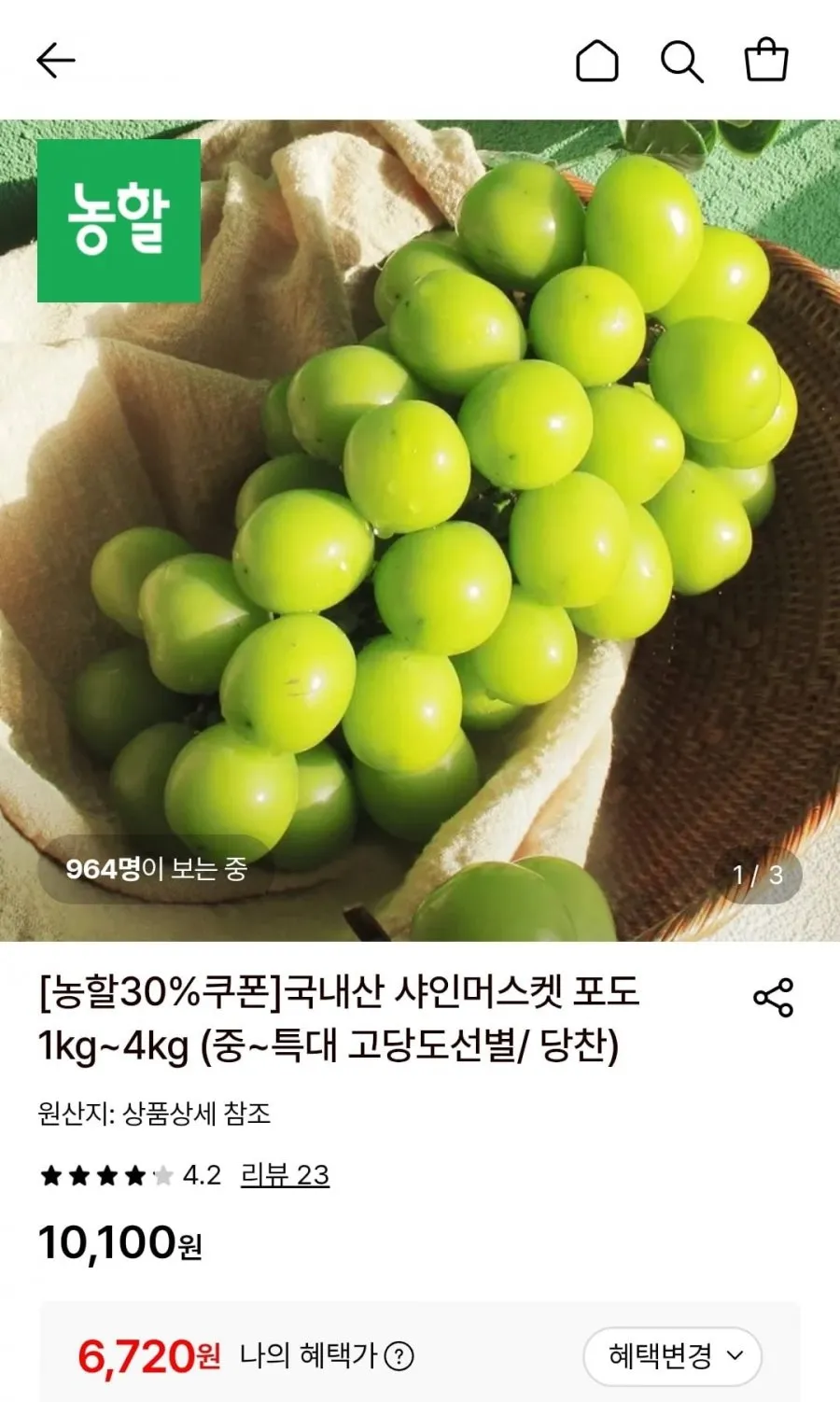 샤인머스켓 1kg 중 2송이