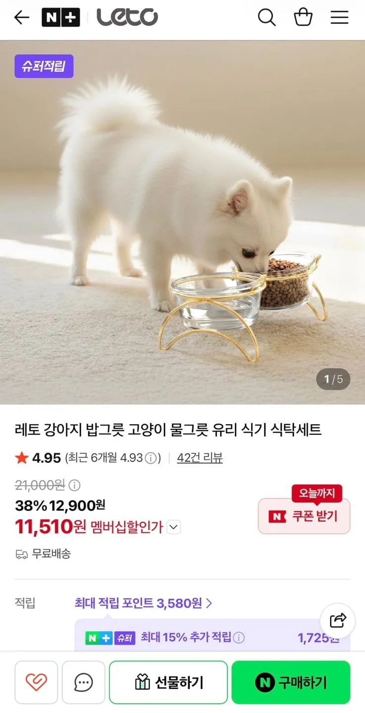 애완견 유리 식기 세트