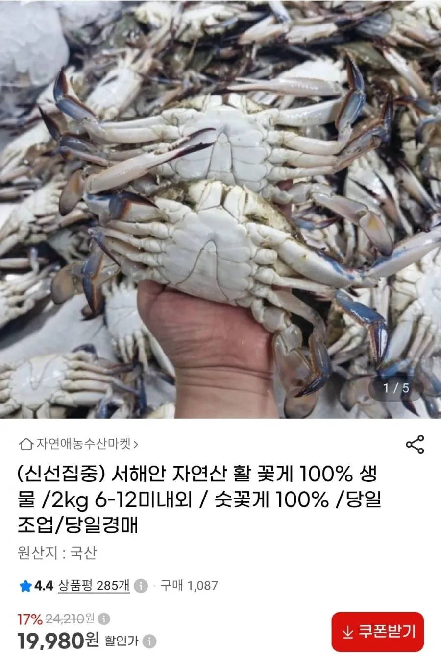 서해안 자연산 활 꽃게 100% 생물 2kg 6-12미내외