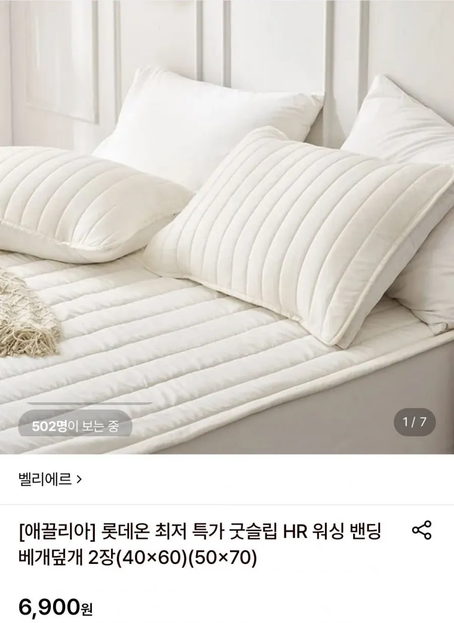 벨리에르 워싱 밴딩 베개덮개 2장