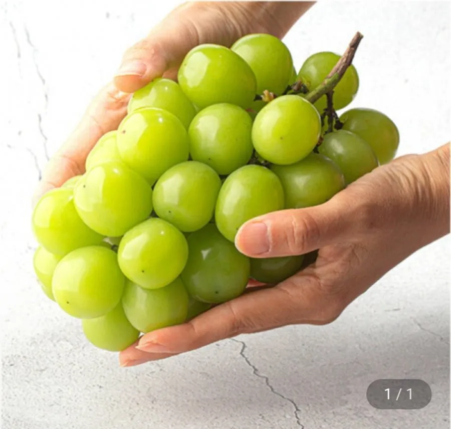 산지직송 고당도 샤인머스켓 2kg 3~4수