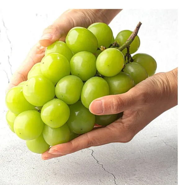 산지직송 고당도 샤인머스캣 2kg 3~4수