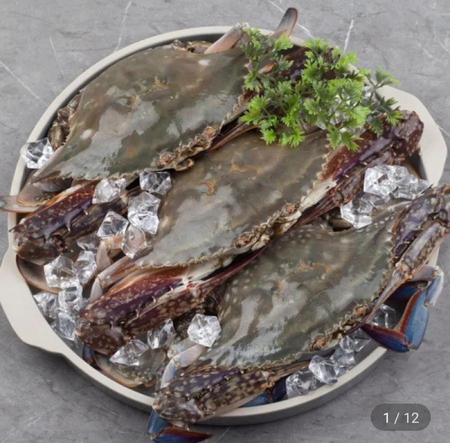 산지직송 태안생물 가을 활 숯꽃게 빙장포장 2kg(6-10미)