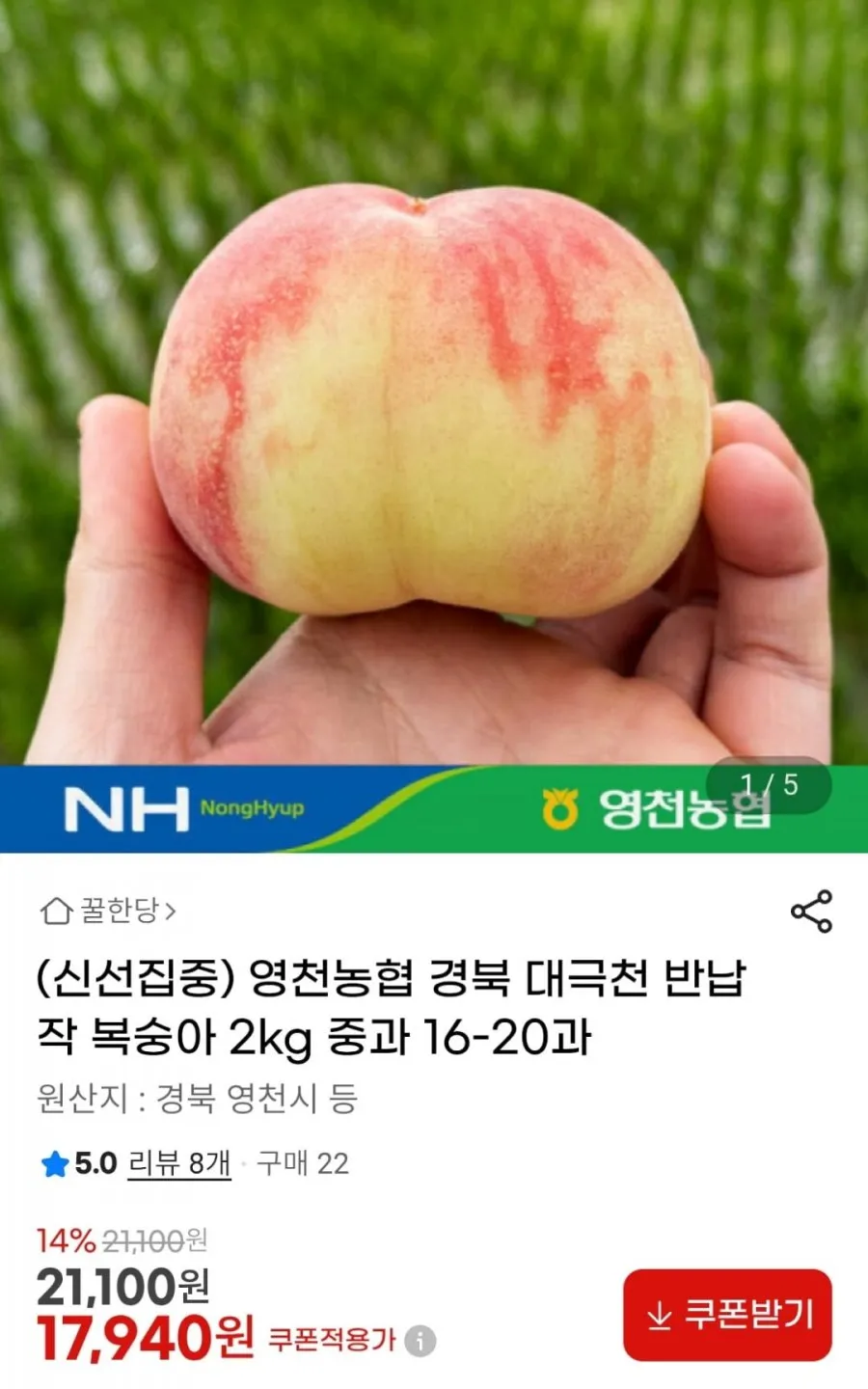 영천농협 대극천 복숭아 2kg 중과