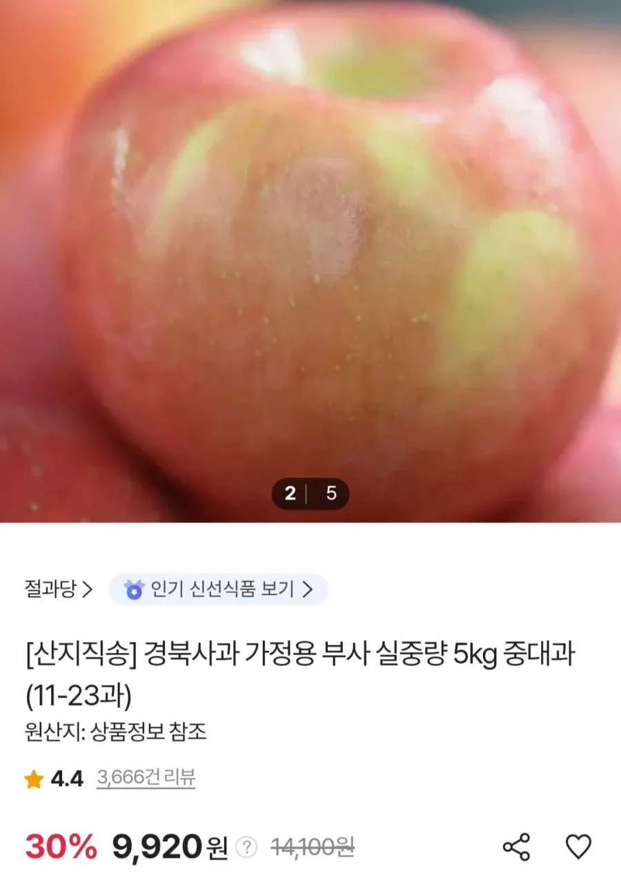 부사사과 실중량 5kg 중대과