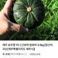 보우짱 미니 단호박 4.5kg