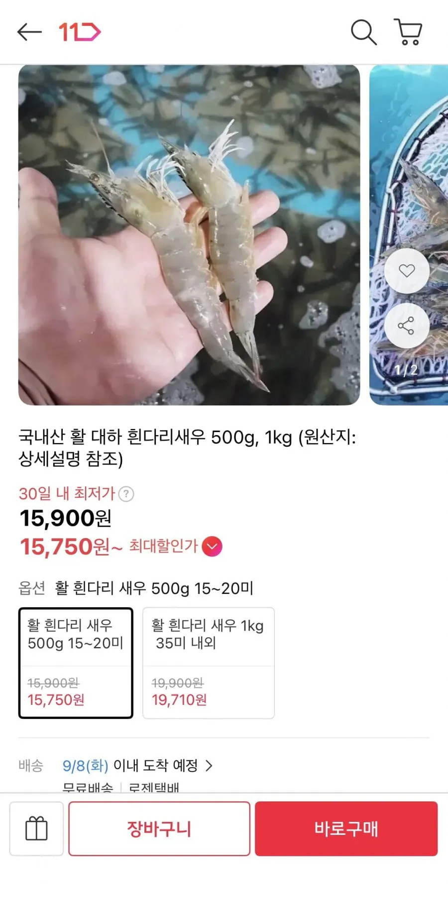 국내산 활 대하 흰다리새우 500g