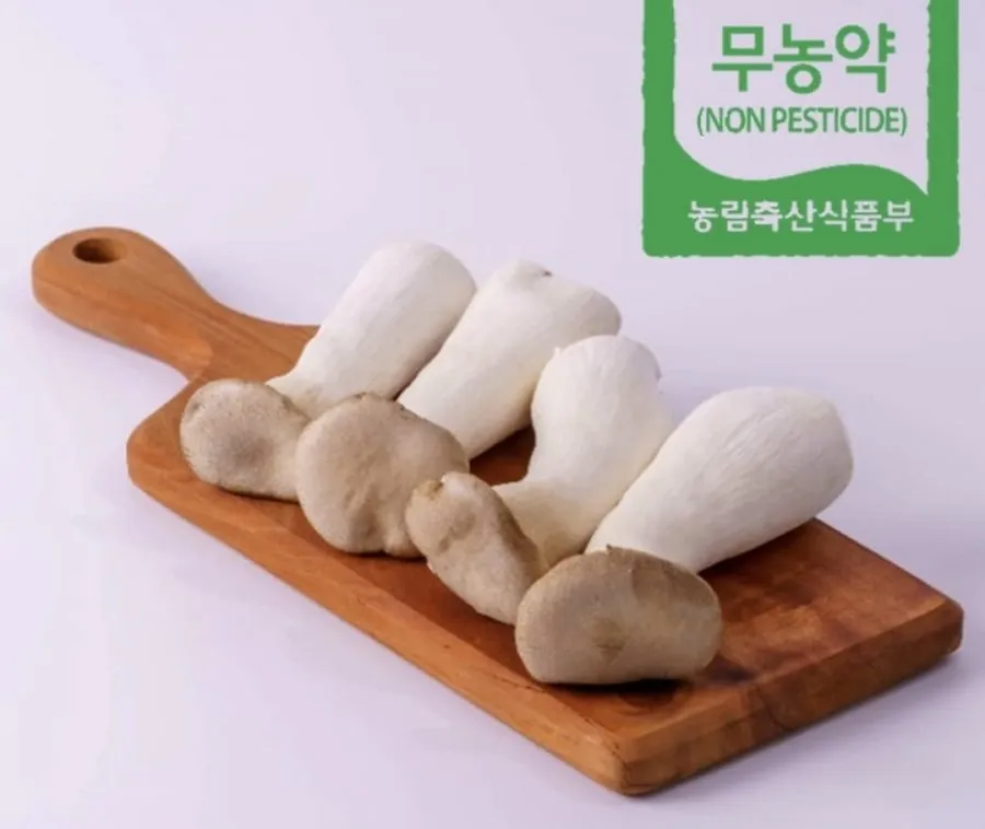 새송이버섯 1kg