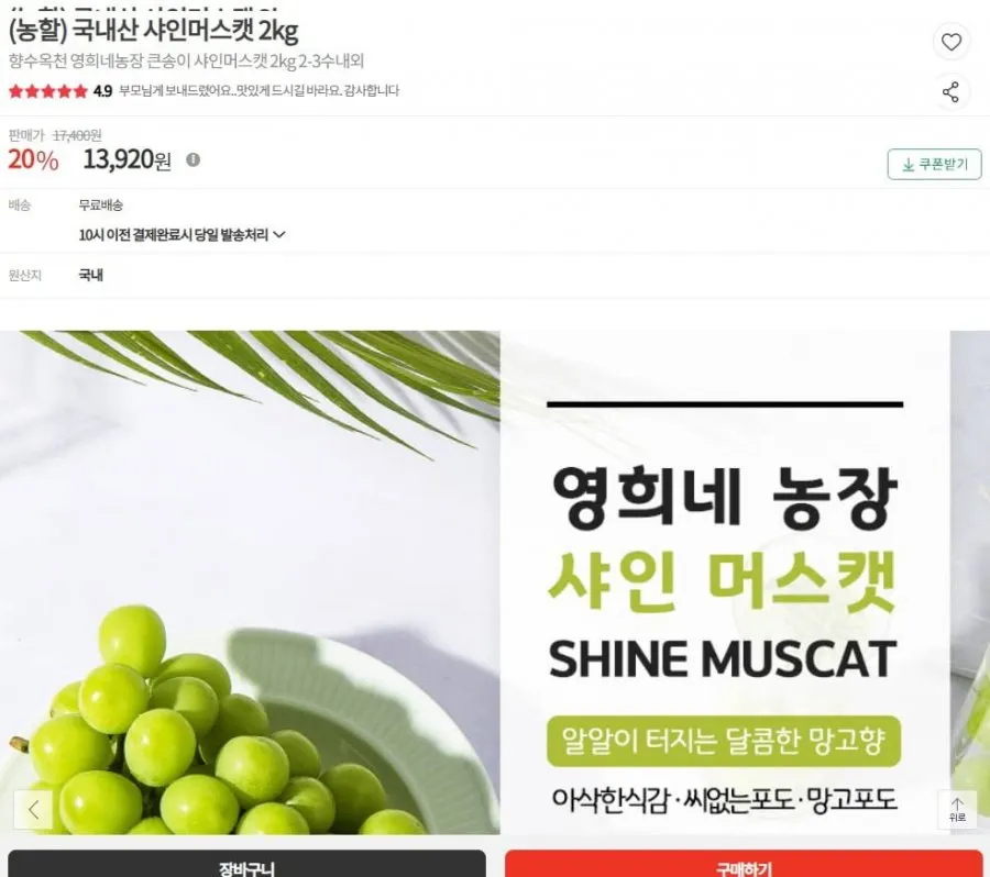 영희네농장 큰송이 샤인머스캣 2kg 2-3수