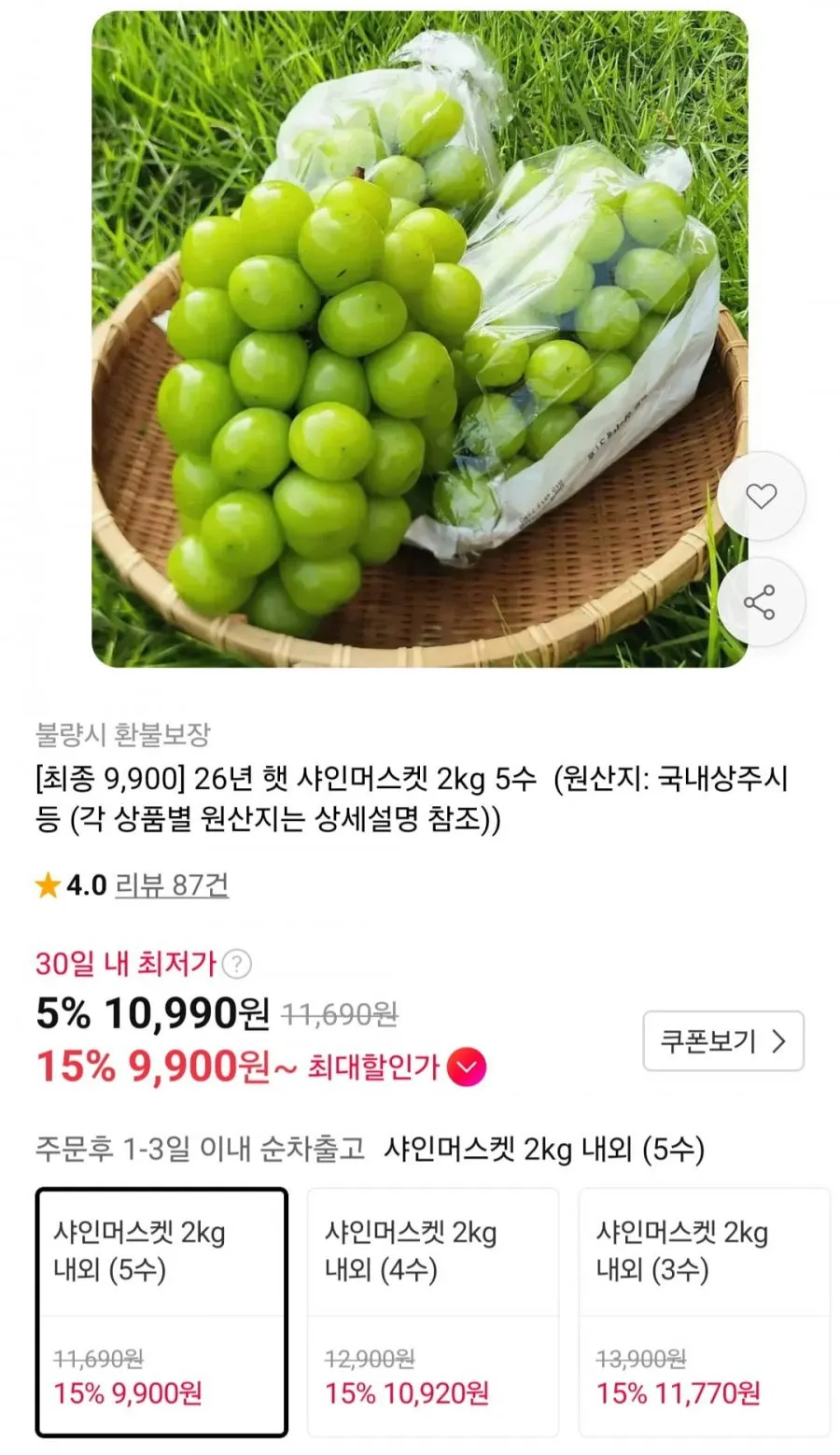 26년 햇 샤인머스켓 2kg 5수