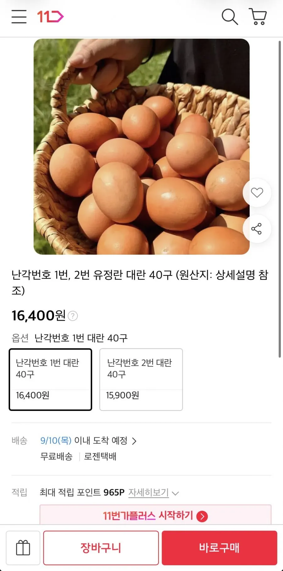 난각번호1번 대란 40구