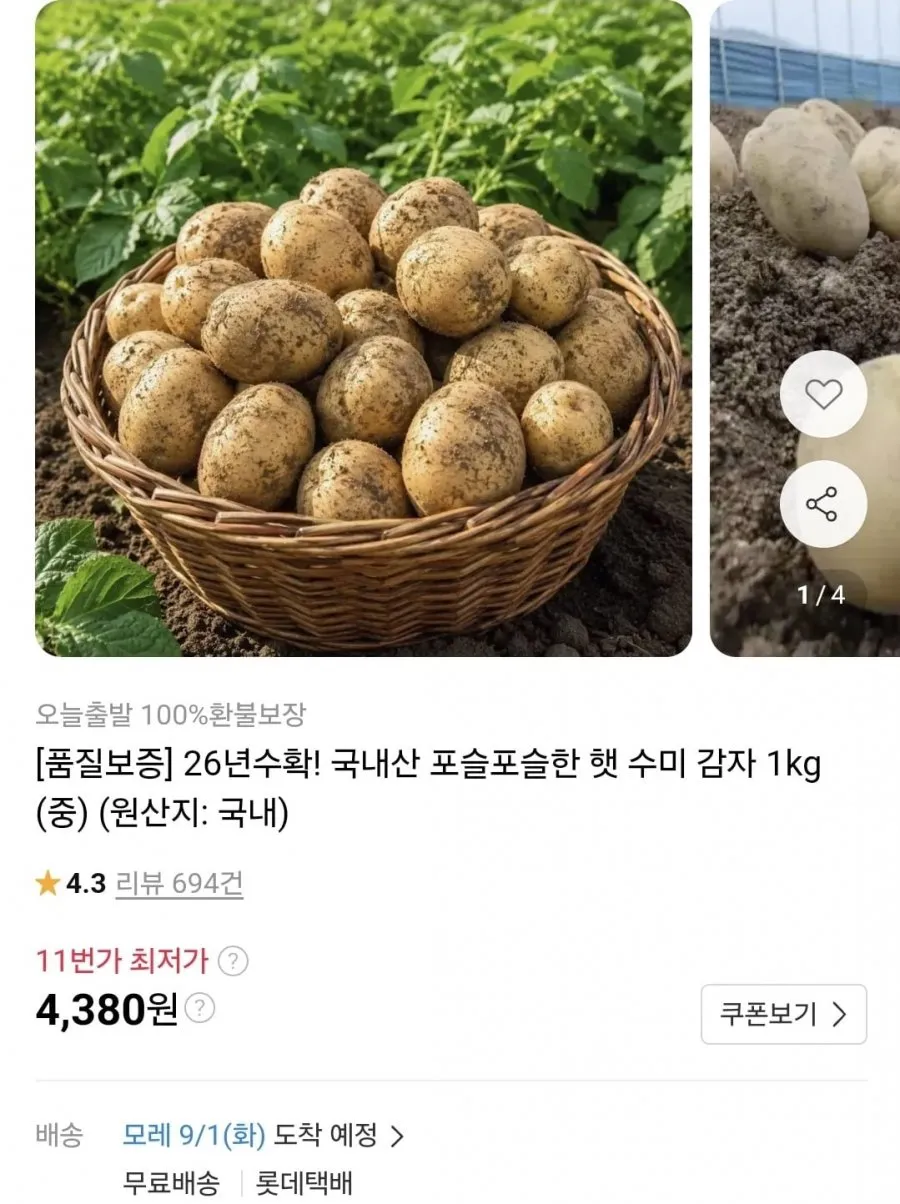 햇 수미감자 중 1kg