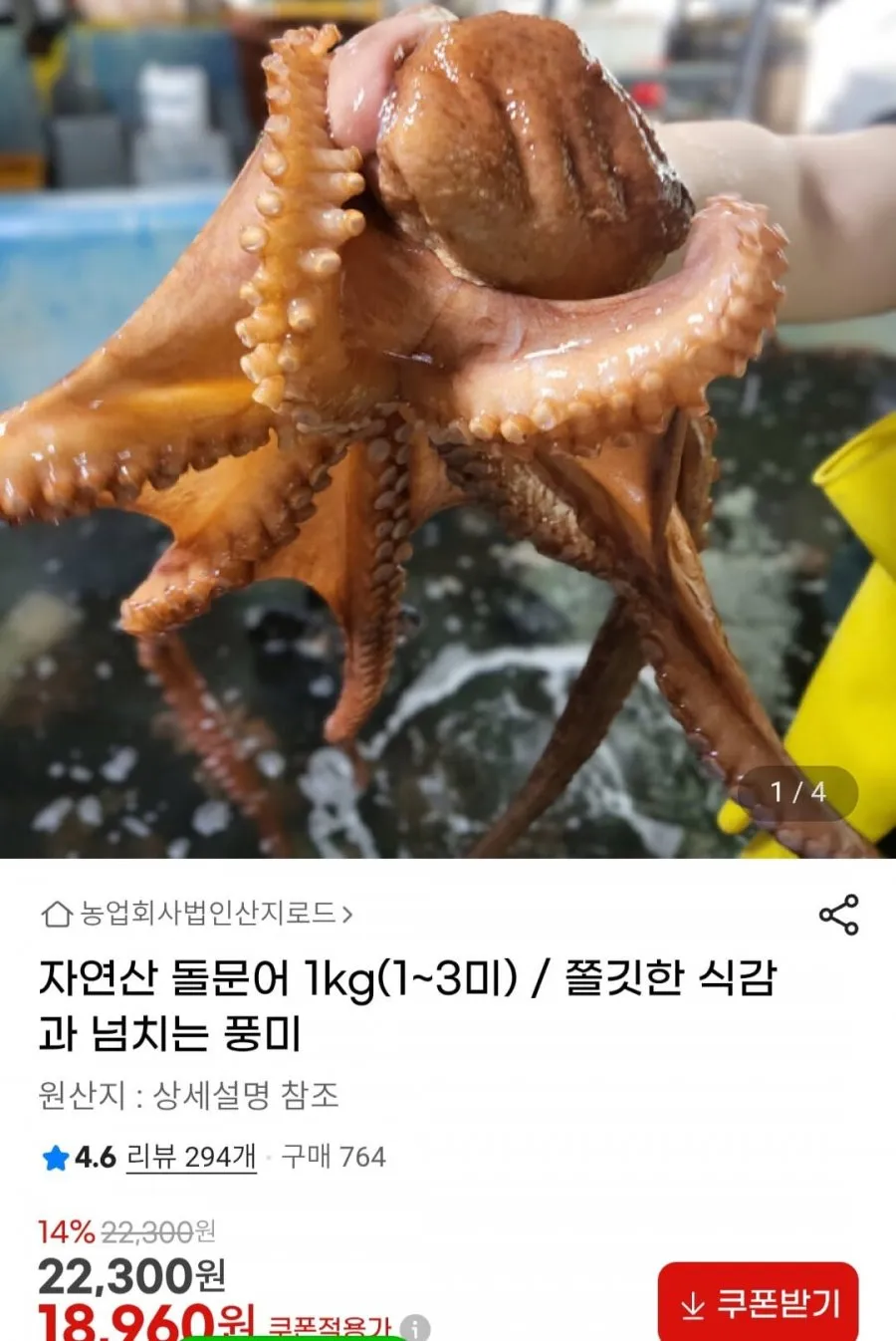 자연산 돌문어 1kg