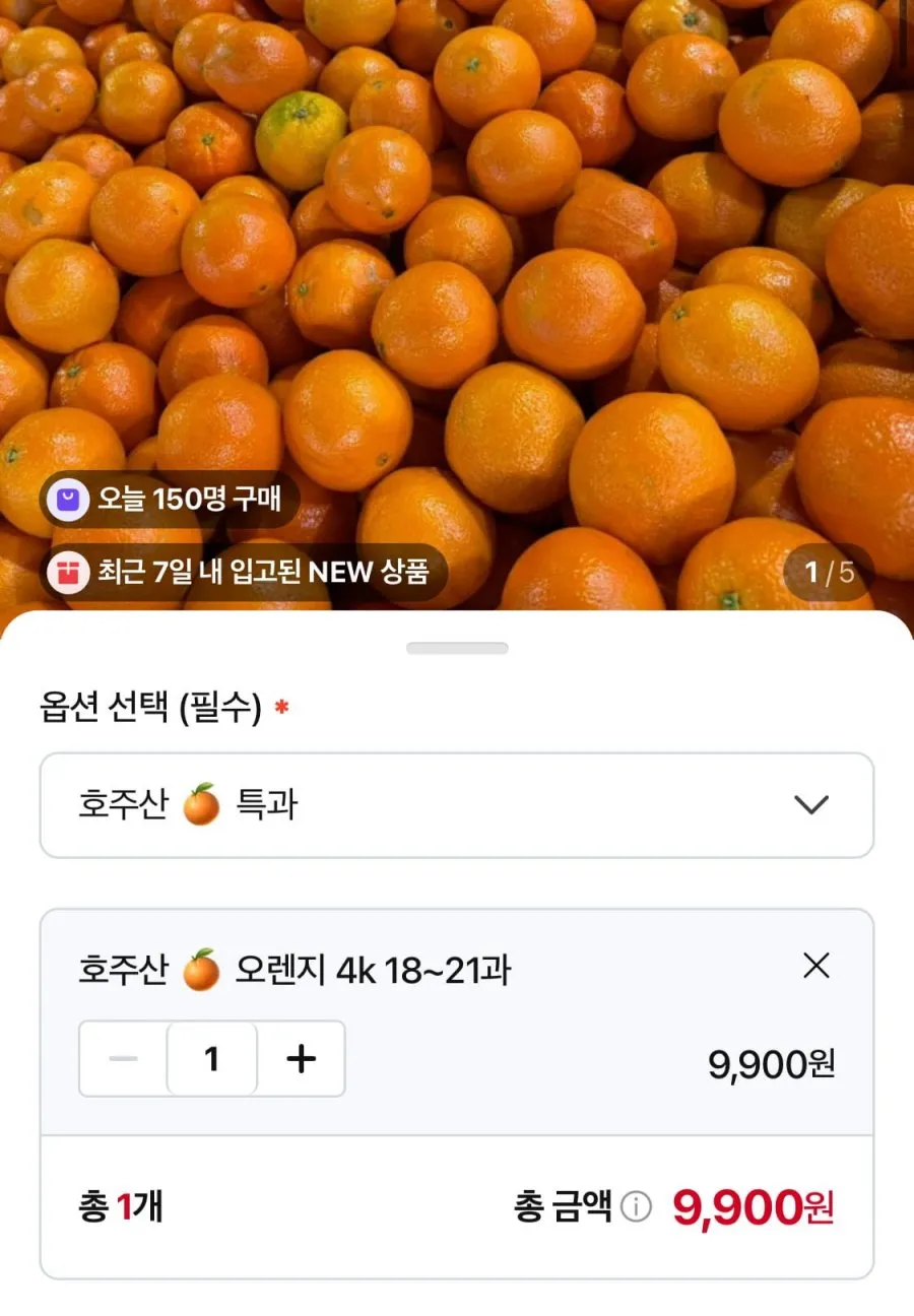 호주산 오렌지 특과 4kg