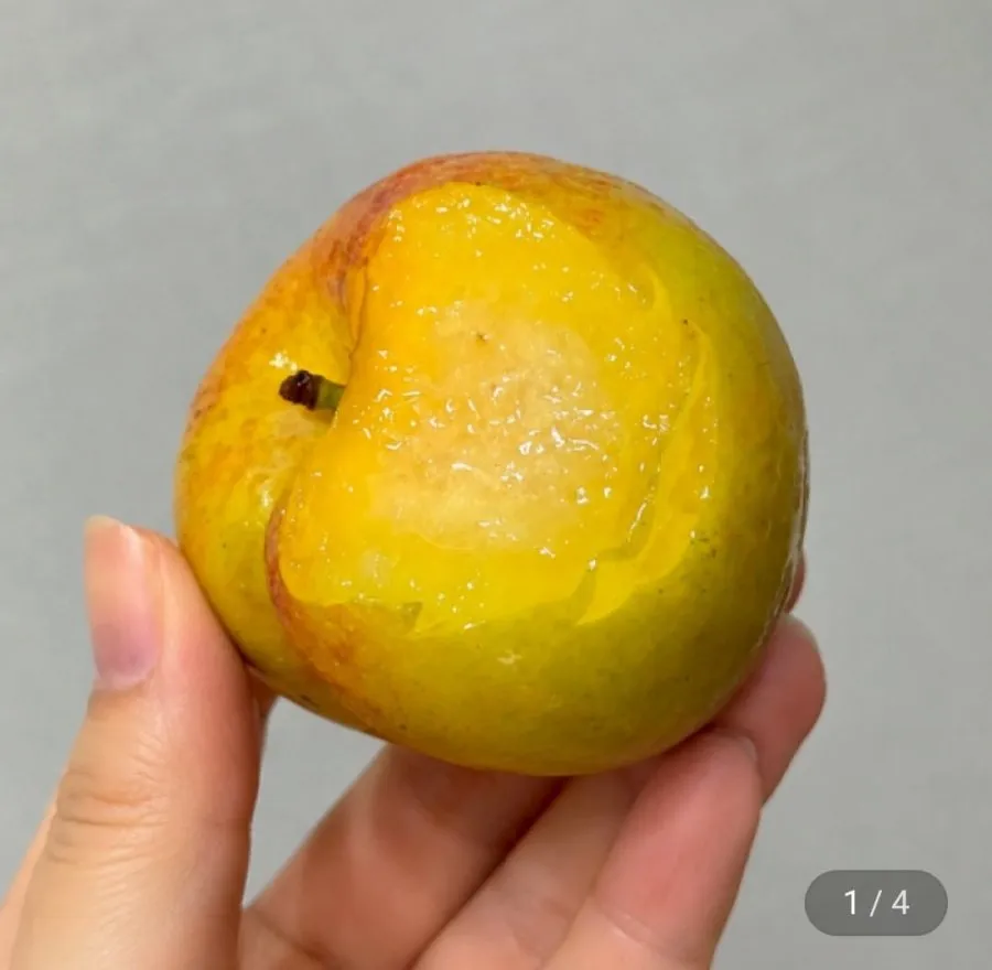 국내산 아삭달콤 추희자두 대과 90g내외 1kg