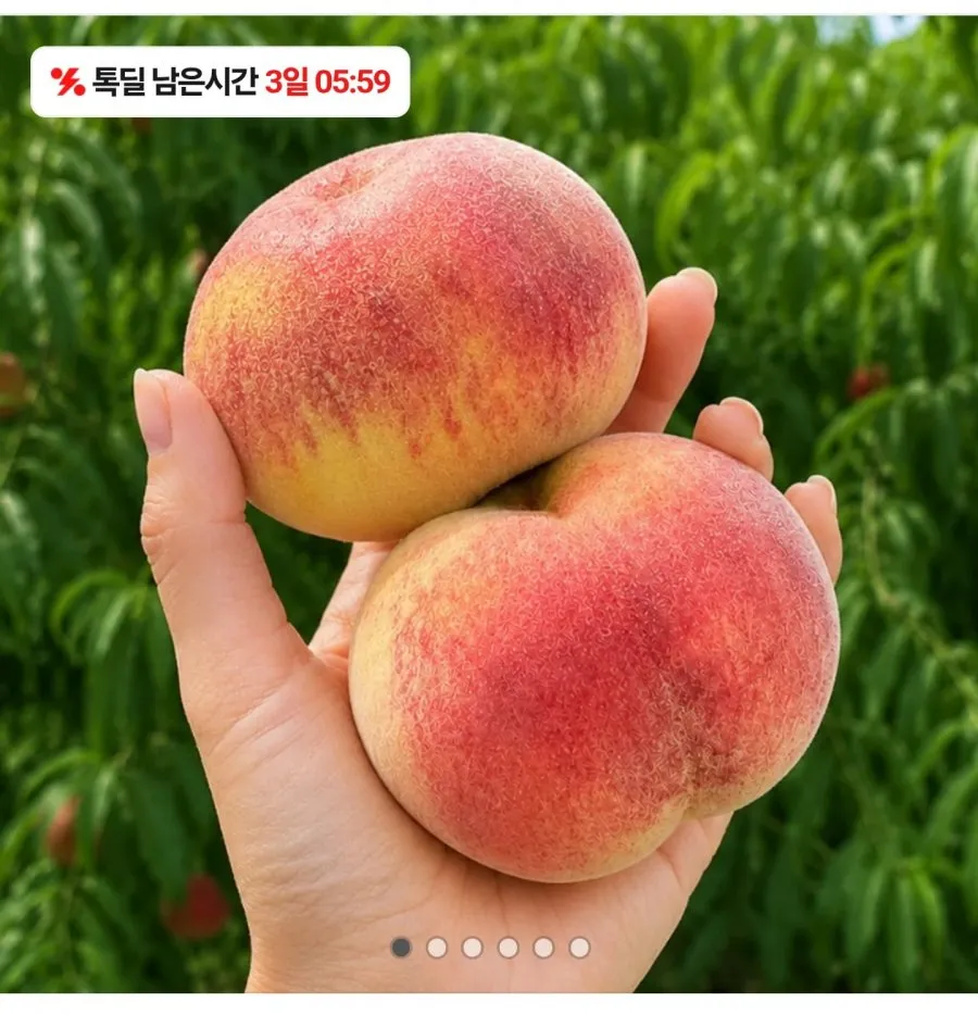 경북 대극천 백도 반납작 복숭아 중소과 1kg