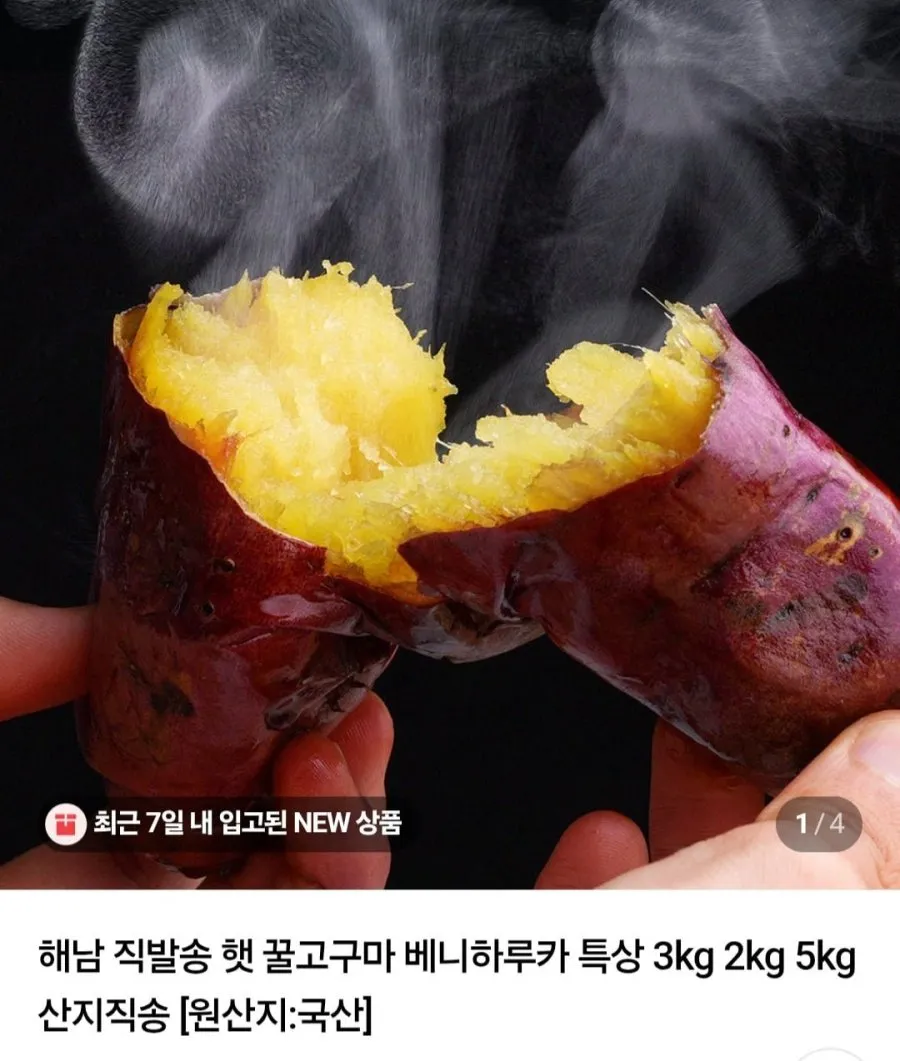 해남 직발송 햇 꿀고구마 베니하루카 특상 3kg
