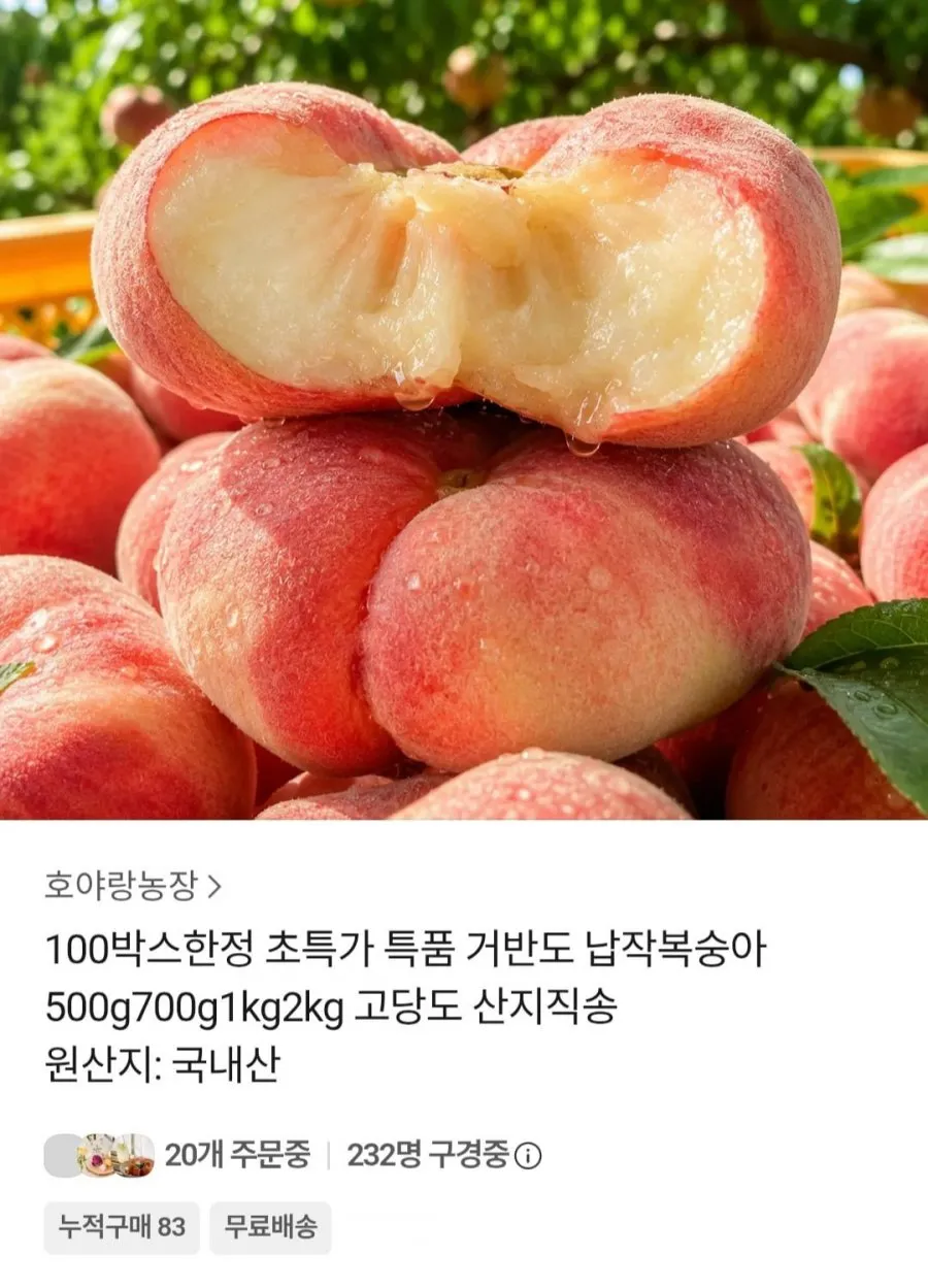 거반도 납작 복숭아 500g 특가
