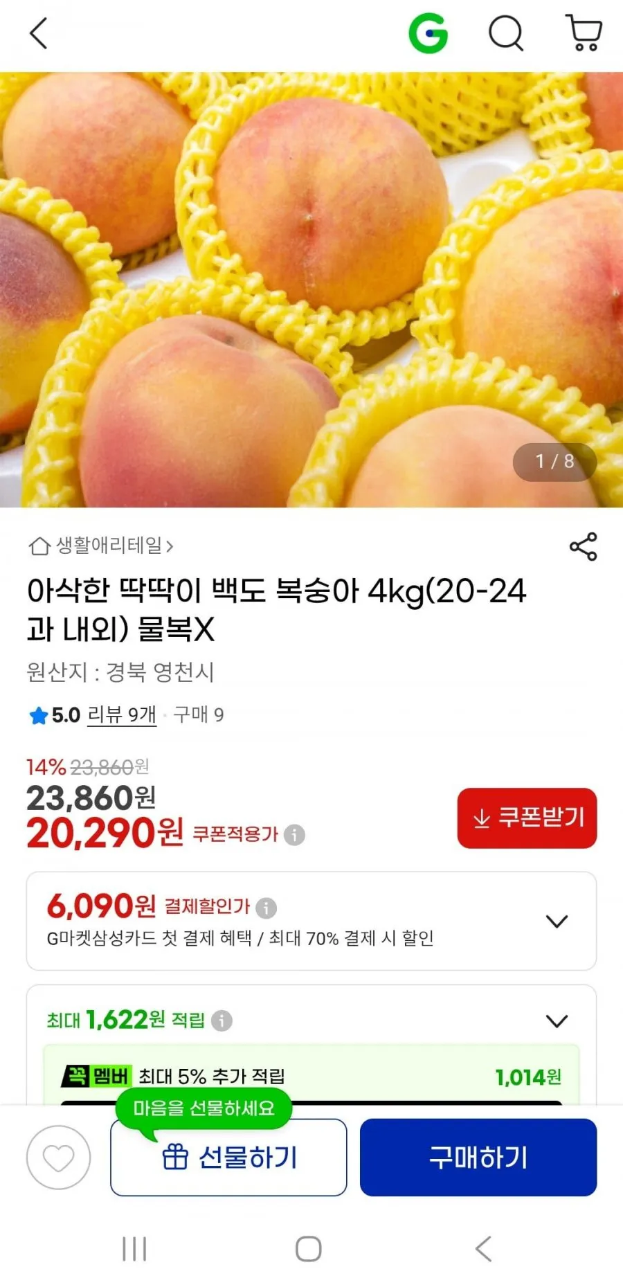 딱딱이 백도 복숭아 4KG 20과-24과