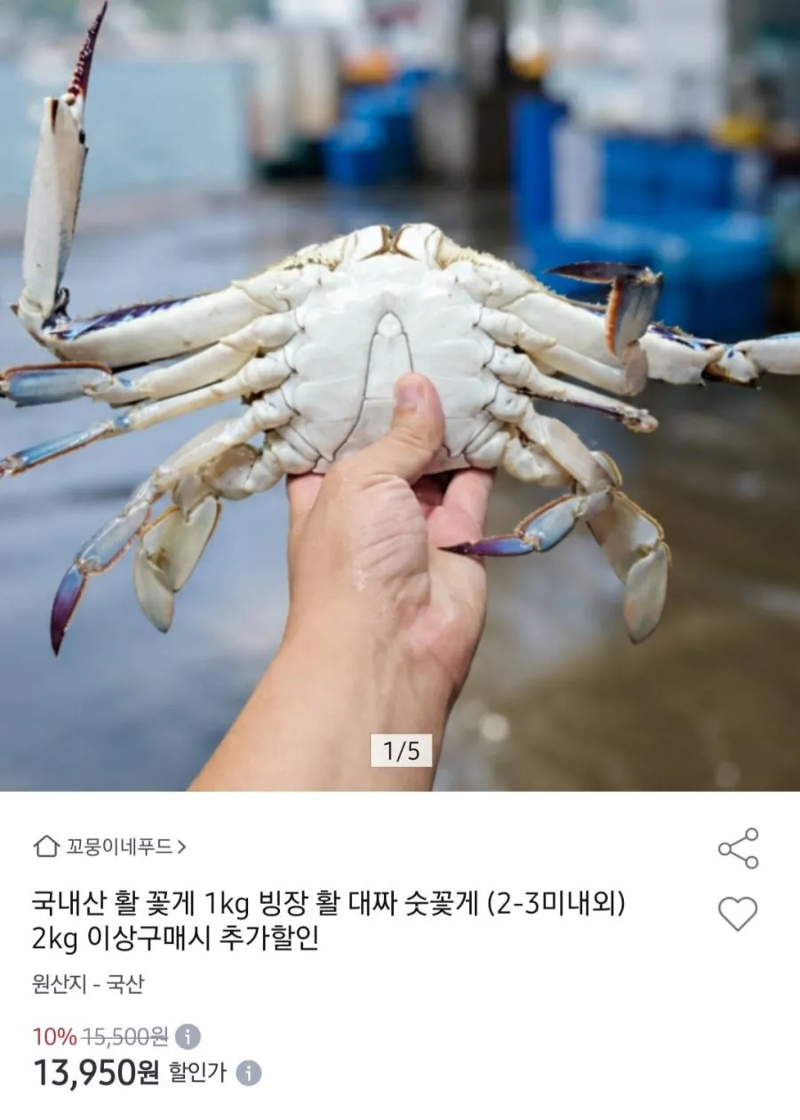 대짜 숫꽃게 (2-3미내외)