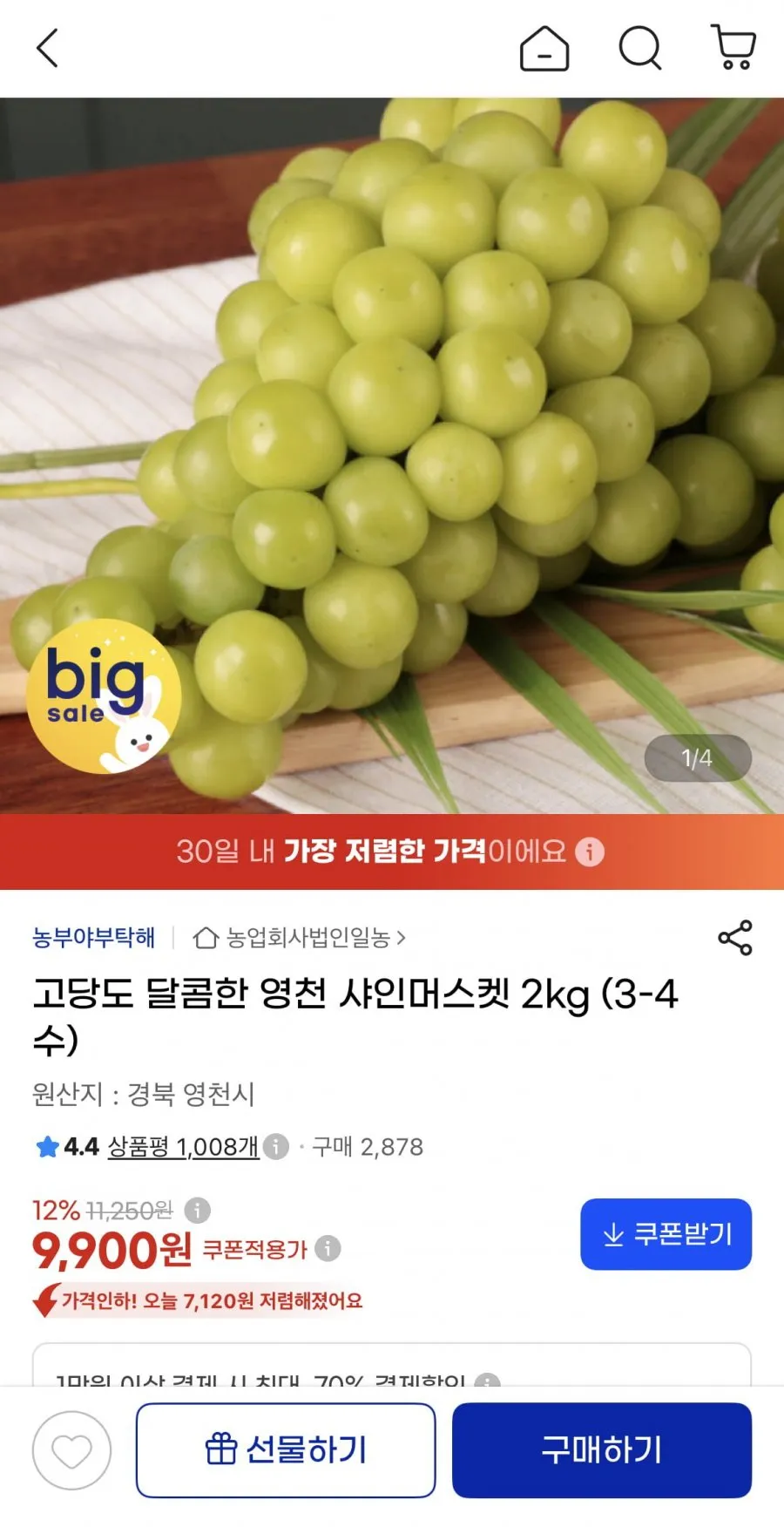 고당도 달콤한 영천 샤인머스켓 2kg (3-4수)