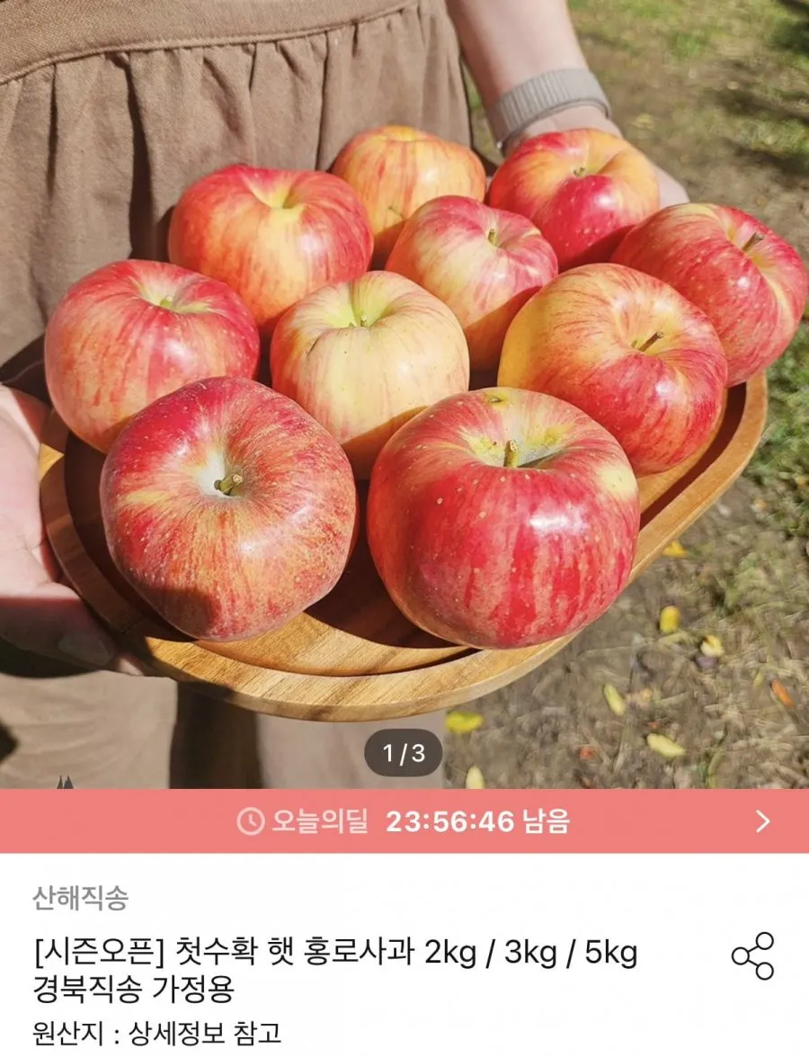 첫수확 햇 홍로사과 3kg